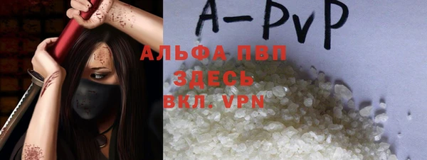 стаф Белоозёрский