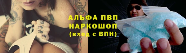 стаф Белоозёрский