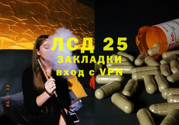 стаф Белоозёрский