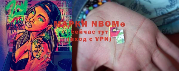 PSILOCYBIN Богданович