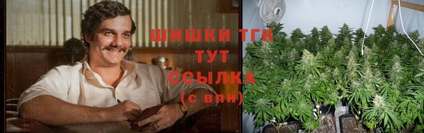 прущие крисы Беломорск