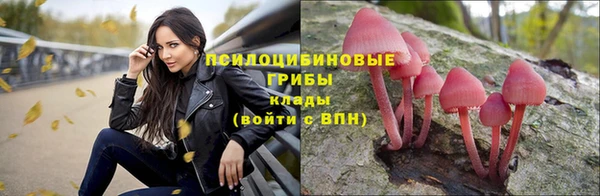 прущие крисы Беломорск